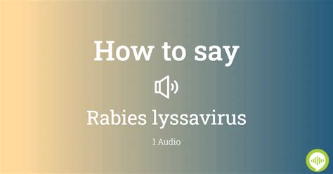 rabies pronunciation|rabies translate.